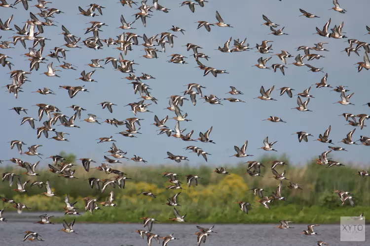 Wandelroute Schaalsmeerpolder mogelijk afgesloten i.v.m. drukte