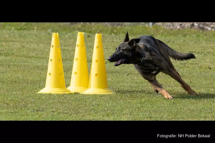 NH Polder Bokaal - 2 juli - promotie FCI Obedience