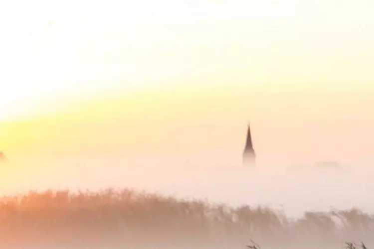 Excursie vaartocht: Dauwtrappen met Luilak